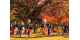 Chuseok 2025 in Korea