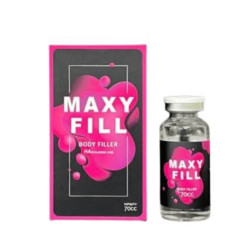 Maxy Fill Body Filler 70cc